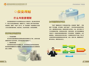 福建省梧桐樹投資管理圖冊 投資管理的理論與實踐